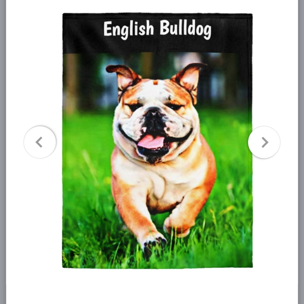 English Bulldog velveteen blanket
